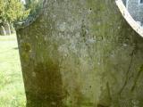 image of grave number 231349